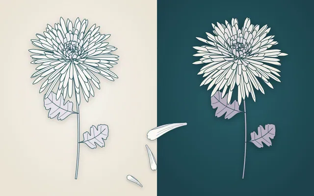 Crisântemo branco em traço para Finados: flor inteira clara e escura, detalhe e pétalas soltas (PNG + SVG)