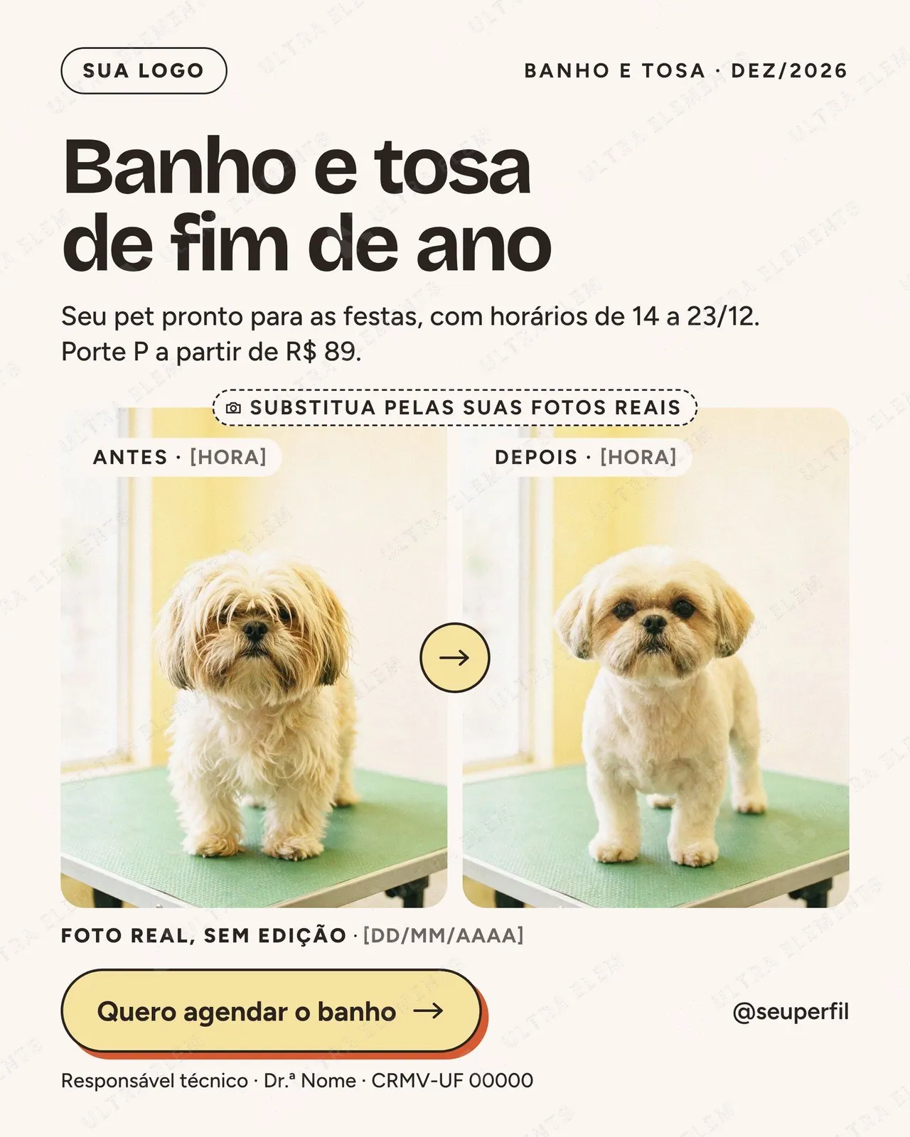 Anúncio de banho e tosa de fim de ano com antes e depois honesto (feed + story) — imagem 1 de 3
