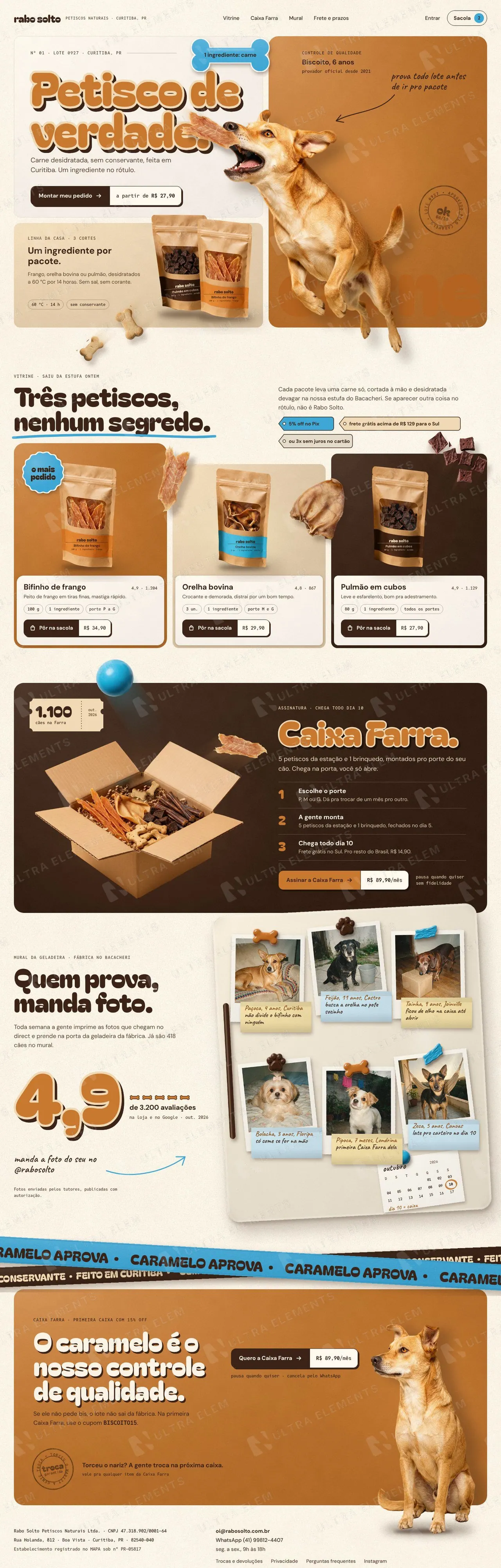 Landing page de loja de petiscos naturais para cães com vitrine, caixa mensal e mural de tutores (desktop e mobile) — imagem 1 de 6