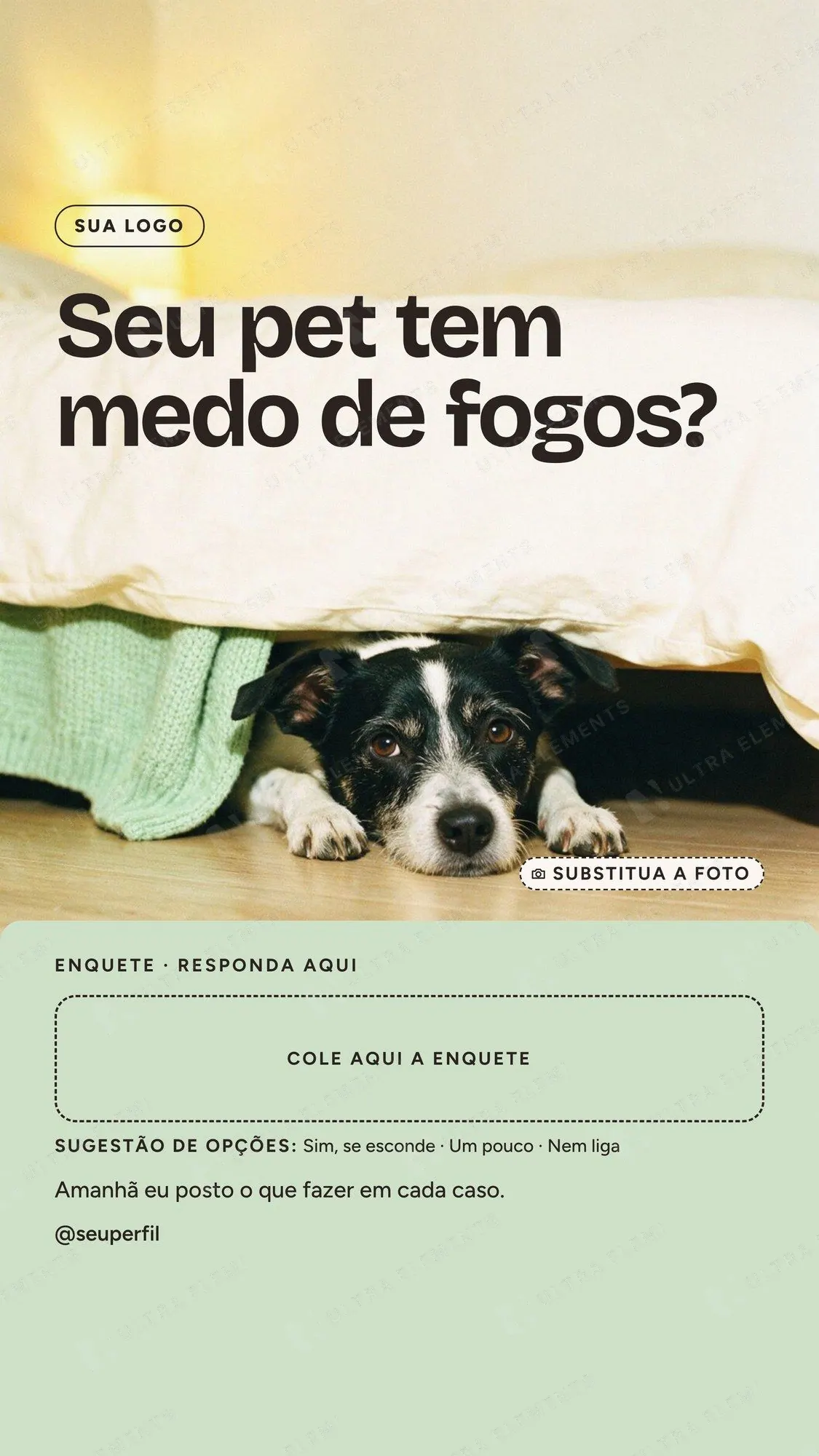 Story enquete “Seu pet tem medo de fogos?” com foto de cão espiando debaixo da cama