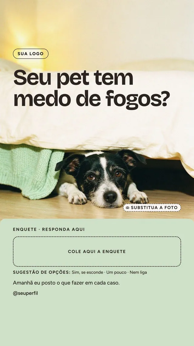 Story enquete “Seu pet tem medo de fogos?” com foto de cão espiando debaixo da cama