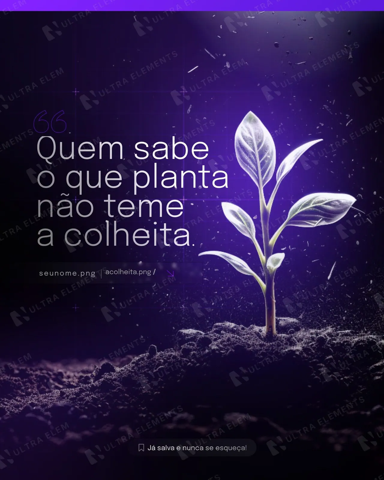 Post frase 'Quem sabe o que planta não teme a colheita' roxo neon (feed)