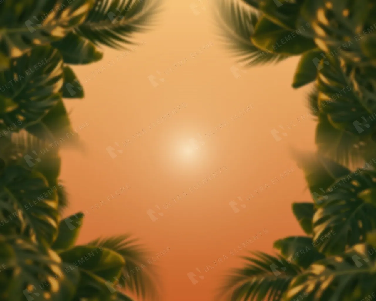 Folhas tropicais desfocadas para moldura em PNG: 4 cantos com luz dourada — imagem 1 de 3